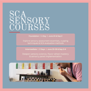 SCA Sensory Skills Foundation Sep 2nd